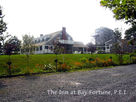 bayfortune