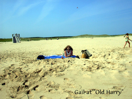 gailandharry