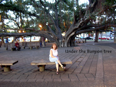 banyon